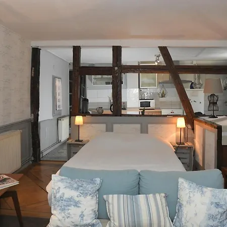 Apartman Le Duplex Colmar